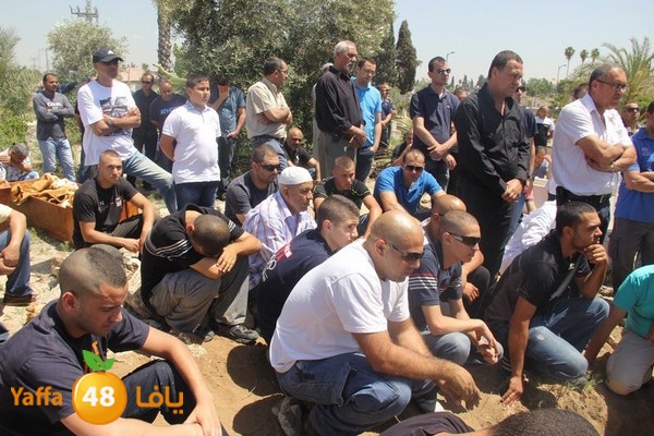 jaanzaa 0501 (41).JPG